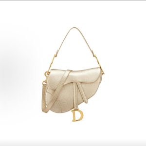 Dior Saddle Bag