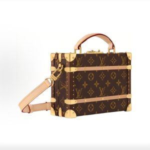 Louis Vuitton Handle Trunk