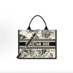 Dior Book Tote Bag